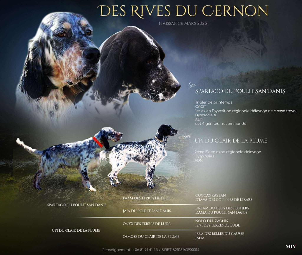 Portée à venir UPI du Clair de la Plume X SPARTACO du Poulit San Danis