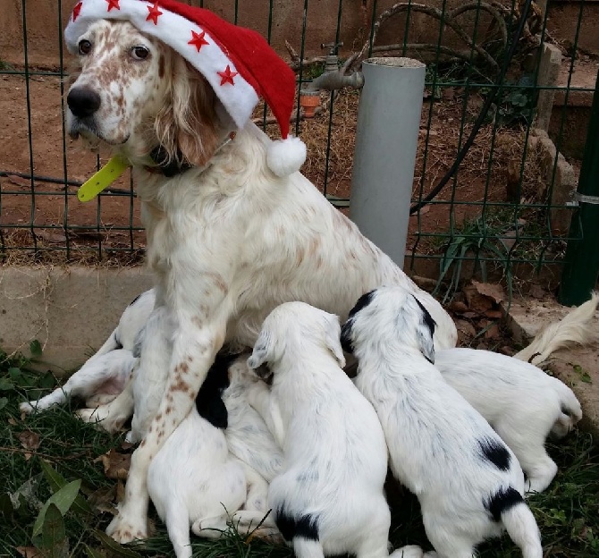 Bain de soleil pour Noël !